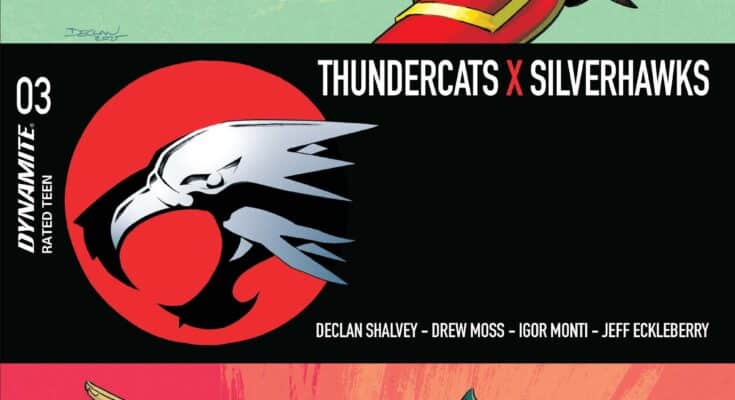 Cover art for ThunderCats x SilverHawks #3 from Dynamite Entertainment by Declan Shalvey featuring a ThunderCats warrior and a SilverHawk in a split crossover design.