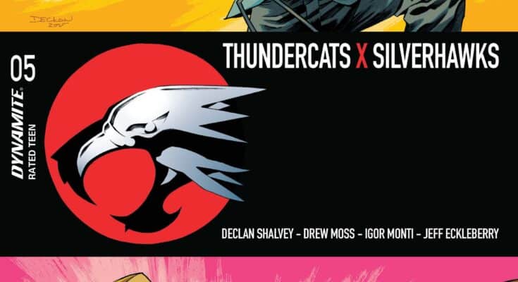 ThunderCats X SilverHawks #5 cover from Dynamite Entertainment featuring characters from the ThunderCats and SilverHawks crossover.